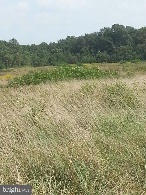 0 Trigger unit 1002228436, Colonial Beach, VA 22443 - photo 1