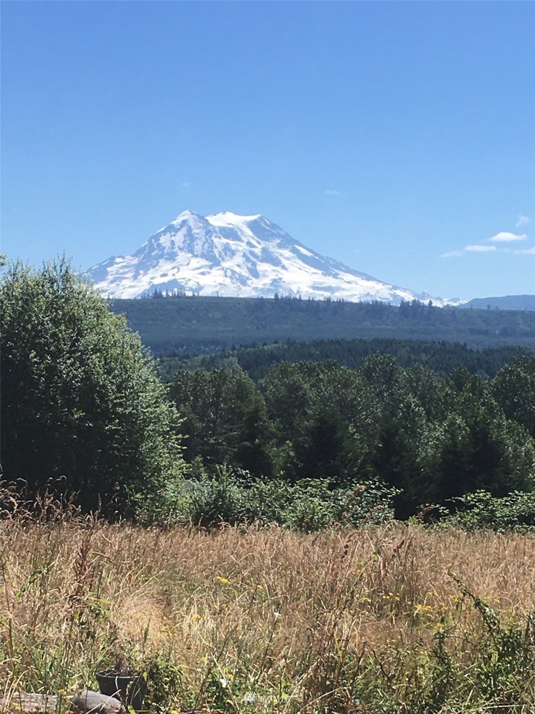 12518 Kapowsin Highlands Dr E, Graham, WA 98338 - photo 1