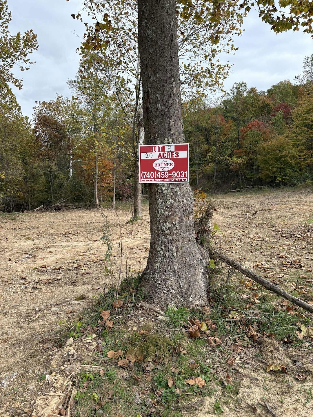 Pine Grove Ch Rd, Vanceburg, KY 41179 - photo 1