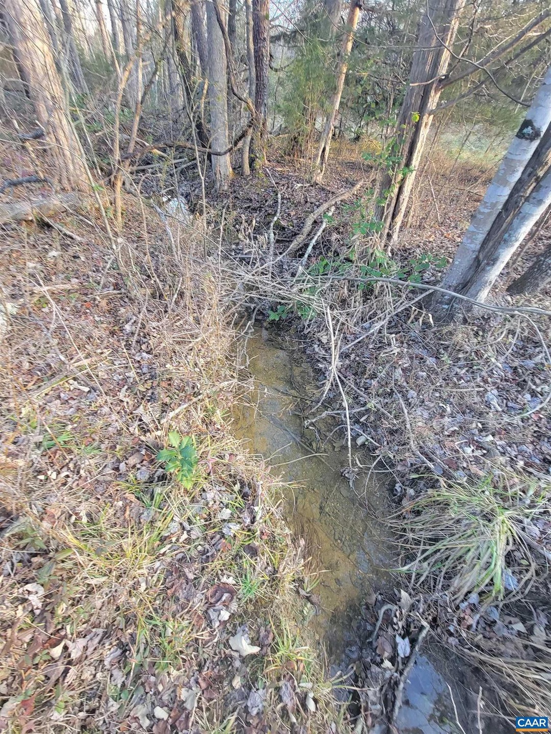 0 Marchia Ln unit 31C 645648, Charlottesville, VA 22902 - photo 1