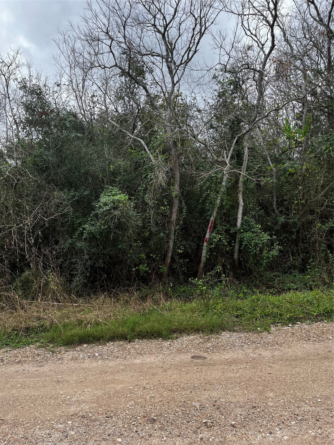 00 Octavo, Brazoria, TX 77422 - photo 1