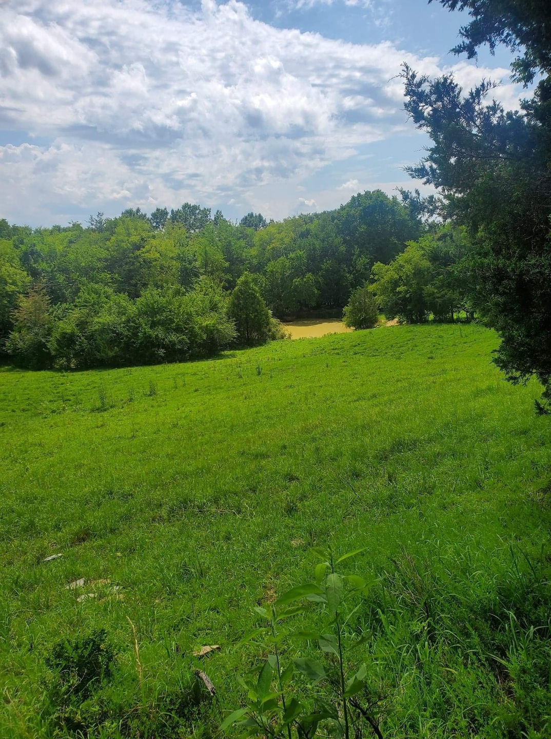 Sold $130,000 • Co-Listing Agent