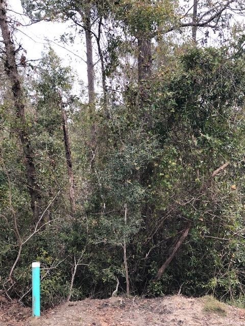 0 Blackfoot unit 2, Crawfordville, FL 32327 - photo 1