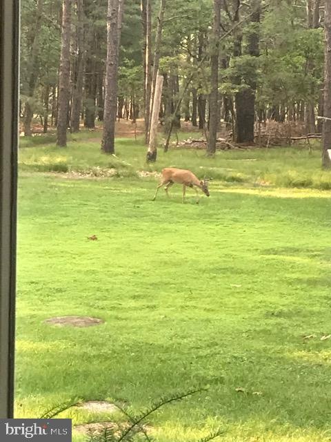 230 Crest Rd, Marlton, NJ 08053 - photo 1