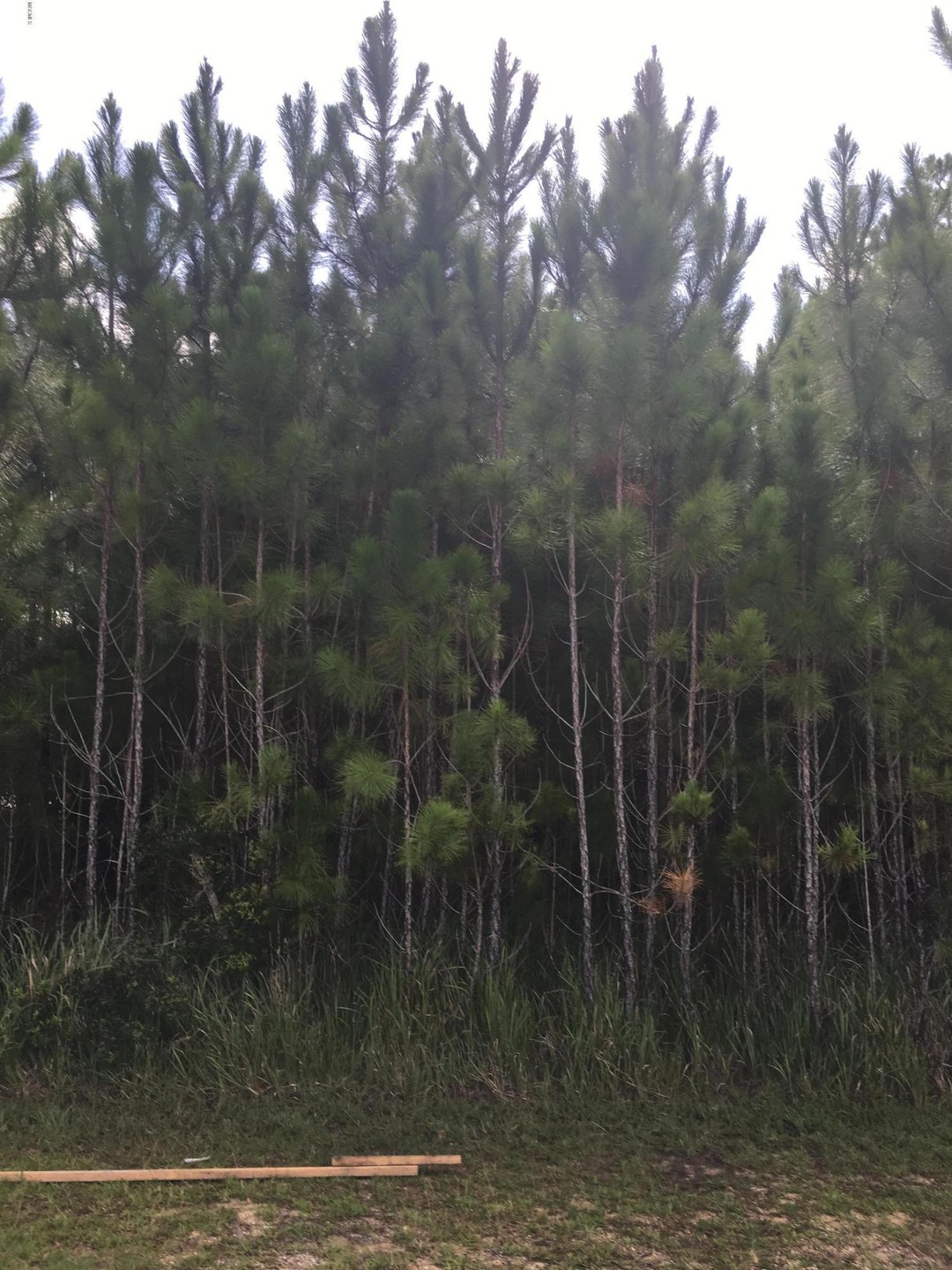 0000 E Pointe Dr, Picayune, MS 39466 - photo 1