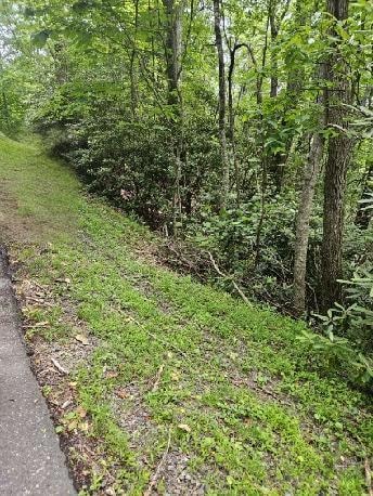 Lot E24 Otter Creek Trail, Fancy Gap, VA 24328 - photo 1
