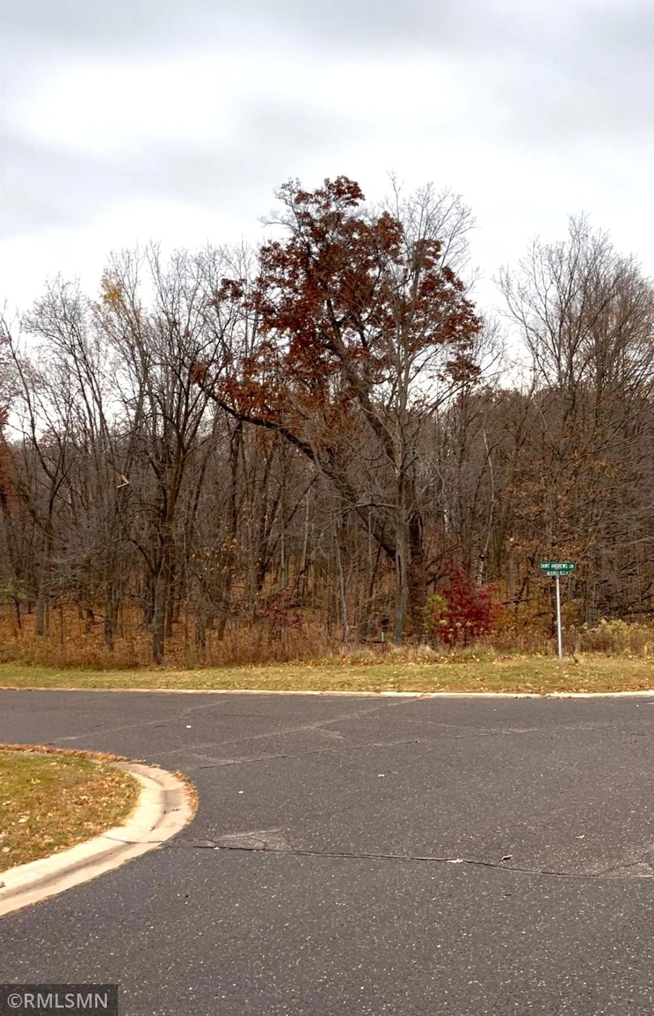 LOT 18 Wilderness Hills Ln, Luck, WI 54853 - photo 1