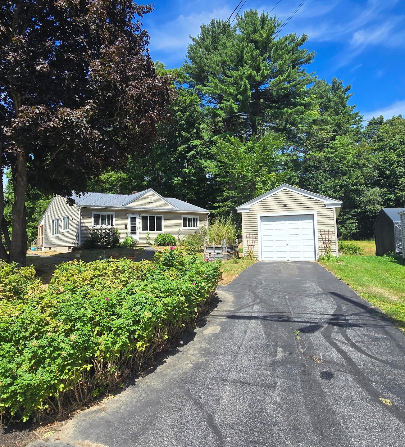 64 Laurier St, Lewiston, ME 04240 - photo 1