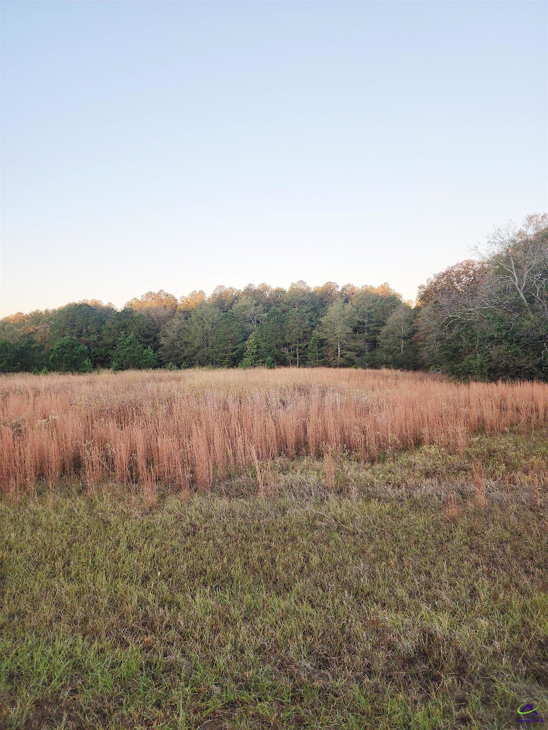 TRACT C-1A LL 2 Kersey Rd, Elko, GA 31025 - photo 1