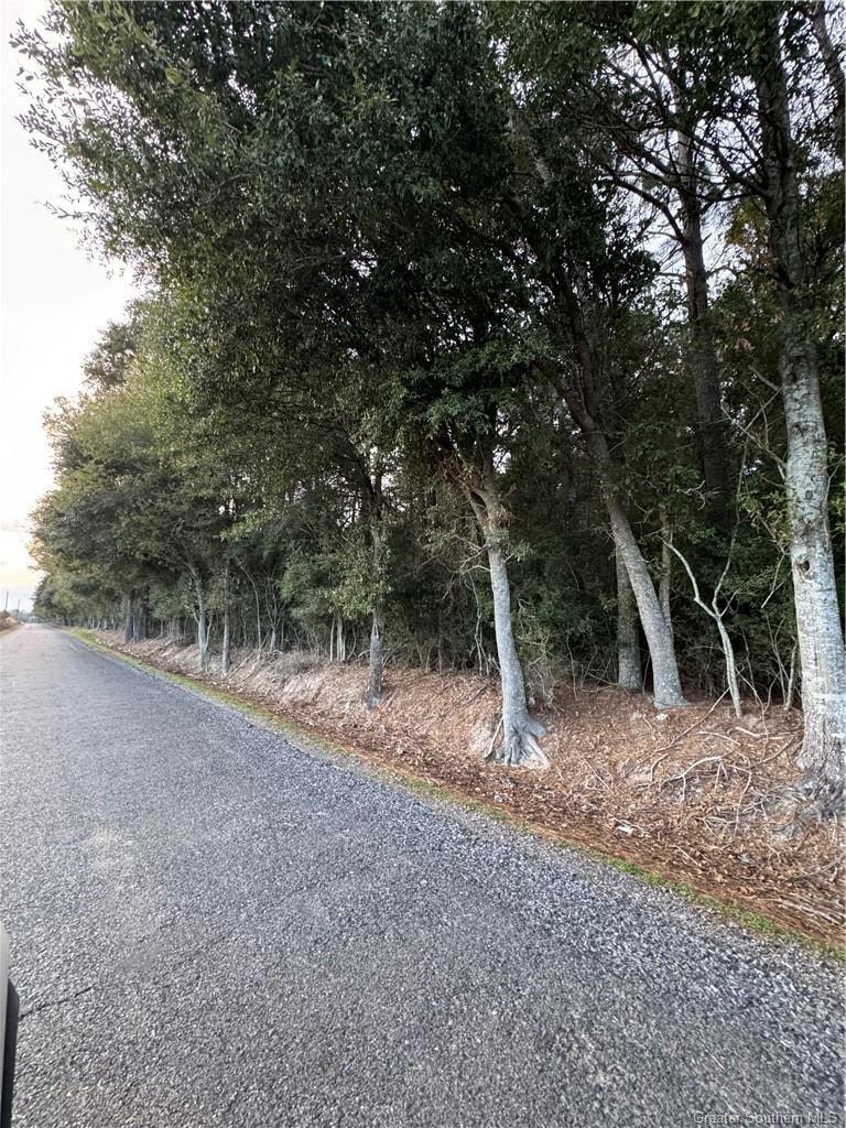 TBD Bearcat Road