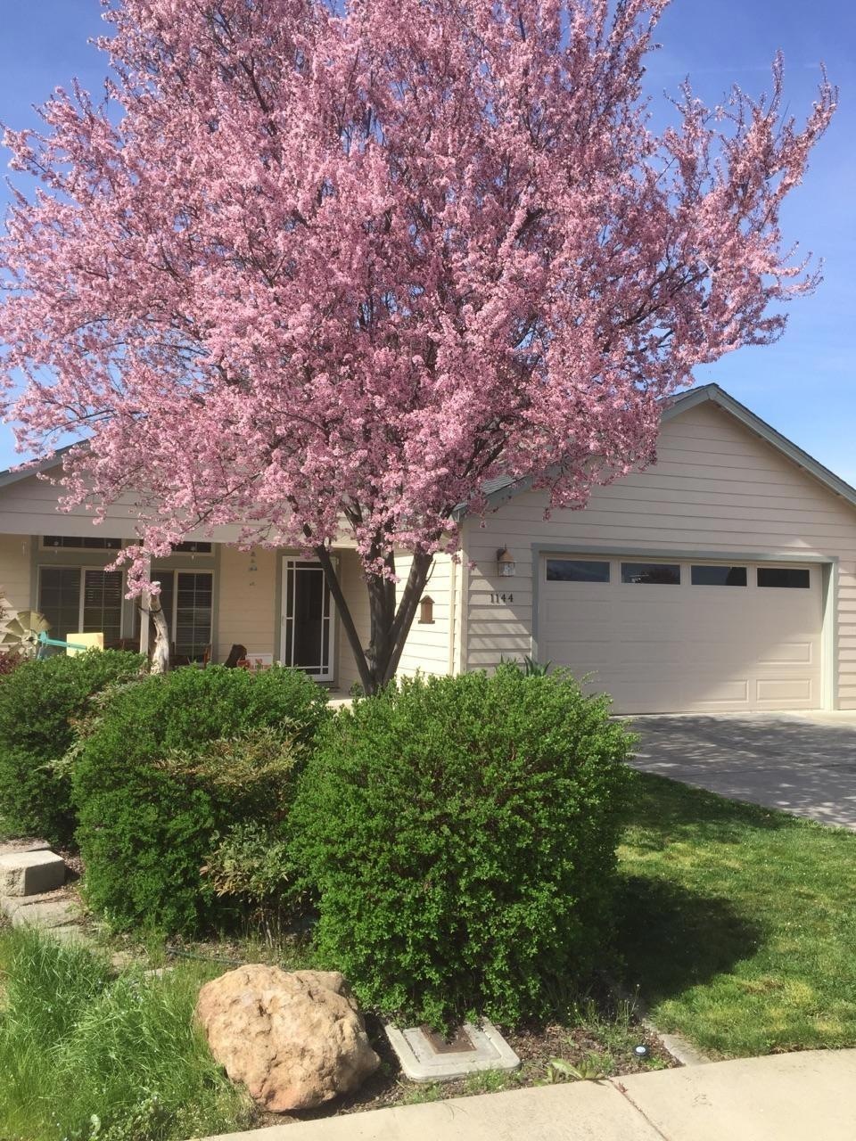 1144 Highlands Dr, Eagle Point, OR 97524 - photo 1