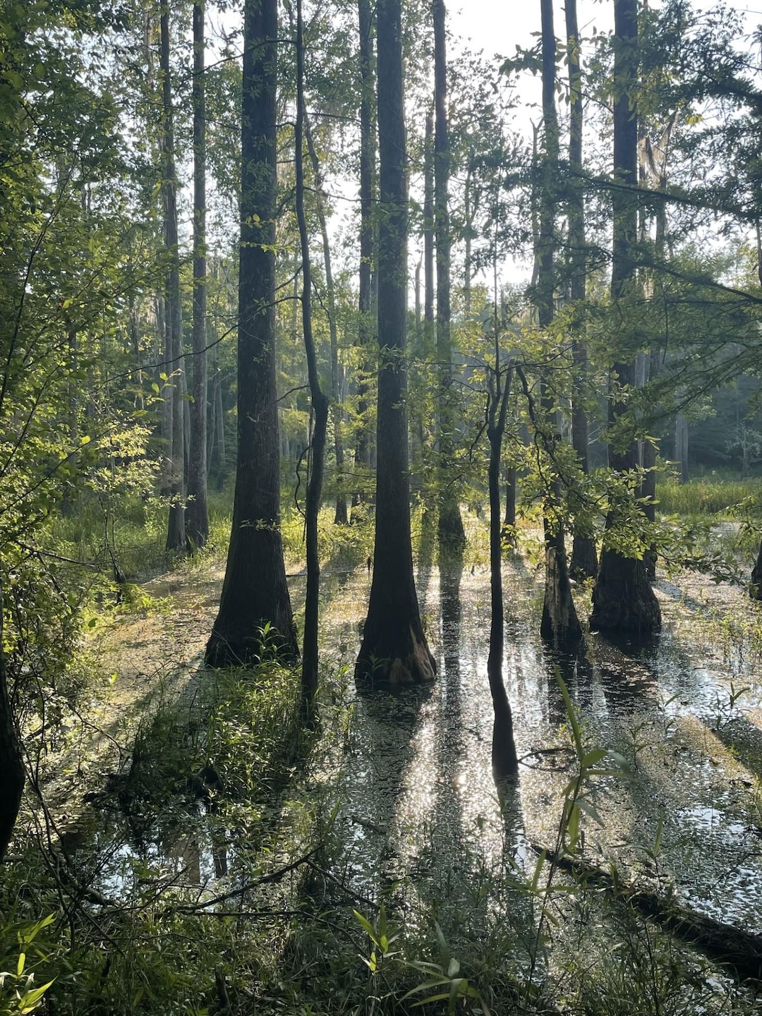 0 Alabama 41, Brewton, AL 36426 - photo 1