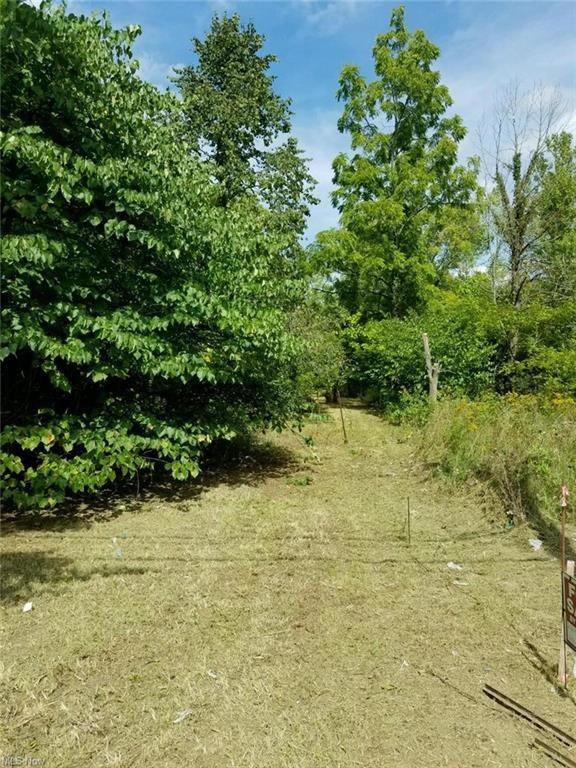 VL Parsons Rd, Oberlin, OH 44074 - photo 1