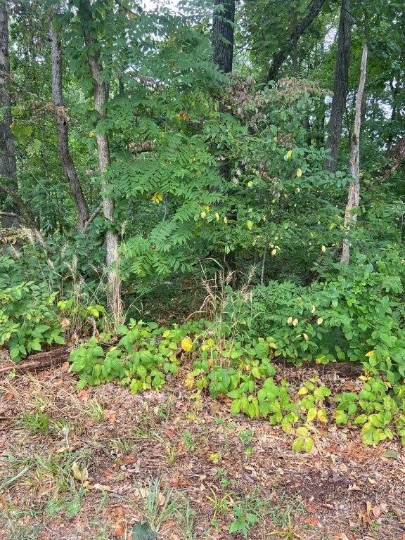 41 Purfleet Dr, Bella Vista, AR 72715 - photo 1