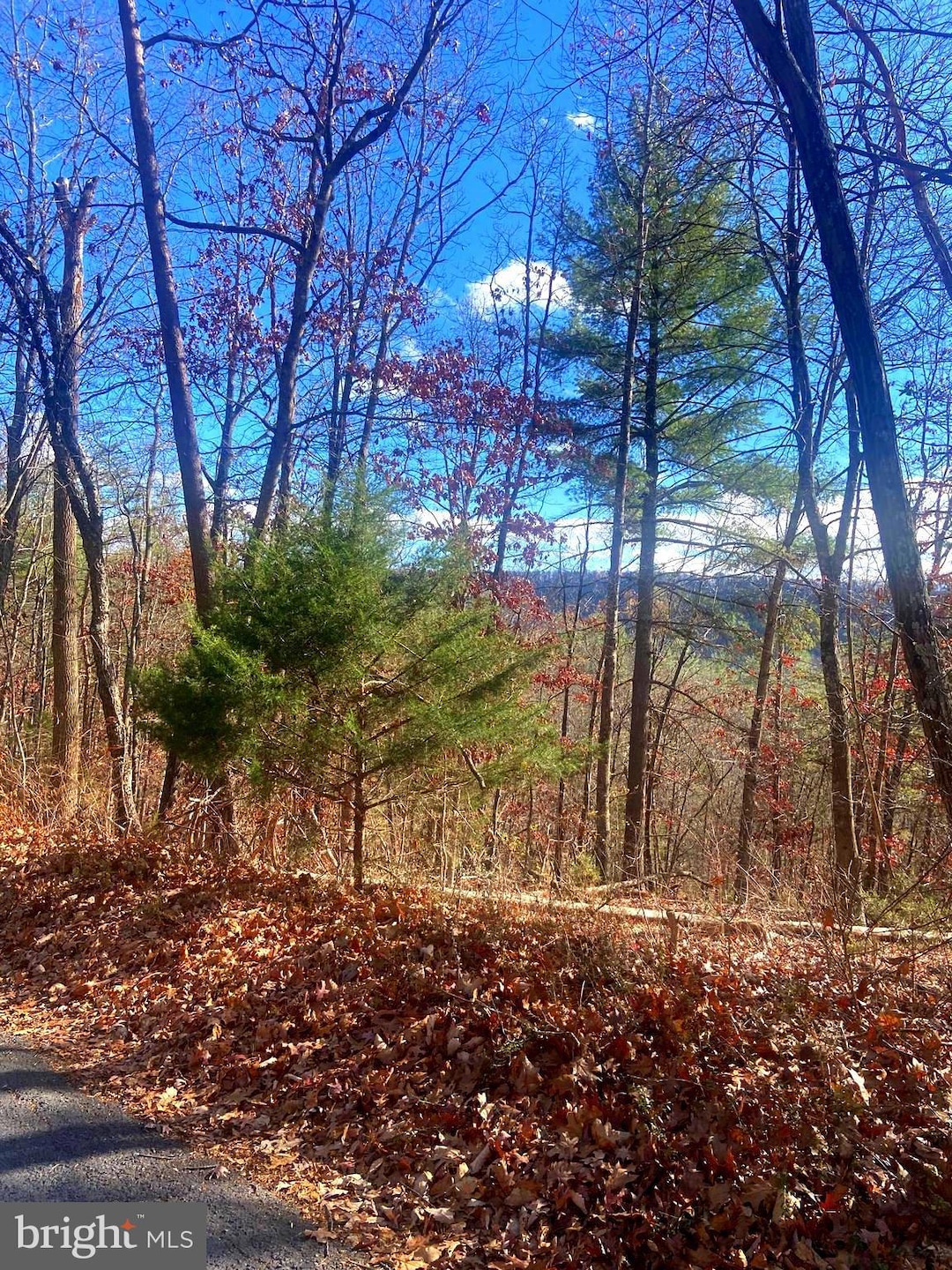 0 Spitz Ln unit VASH2013116, Basye, VA 22810 - photo 1