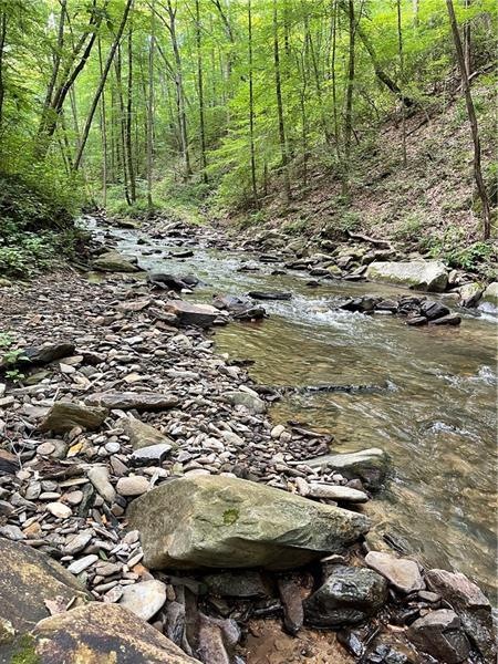 Bottom of Lot is right of creek