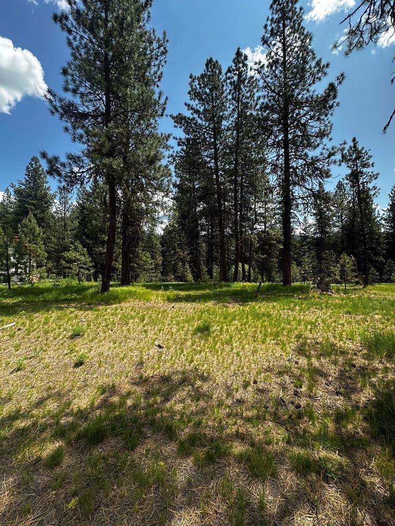 23 Vernon Ct unit Lot 21, McCall, ID 83638 - photo 1