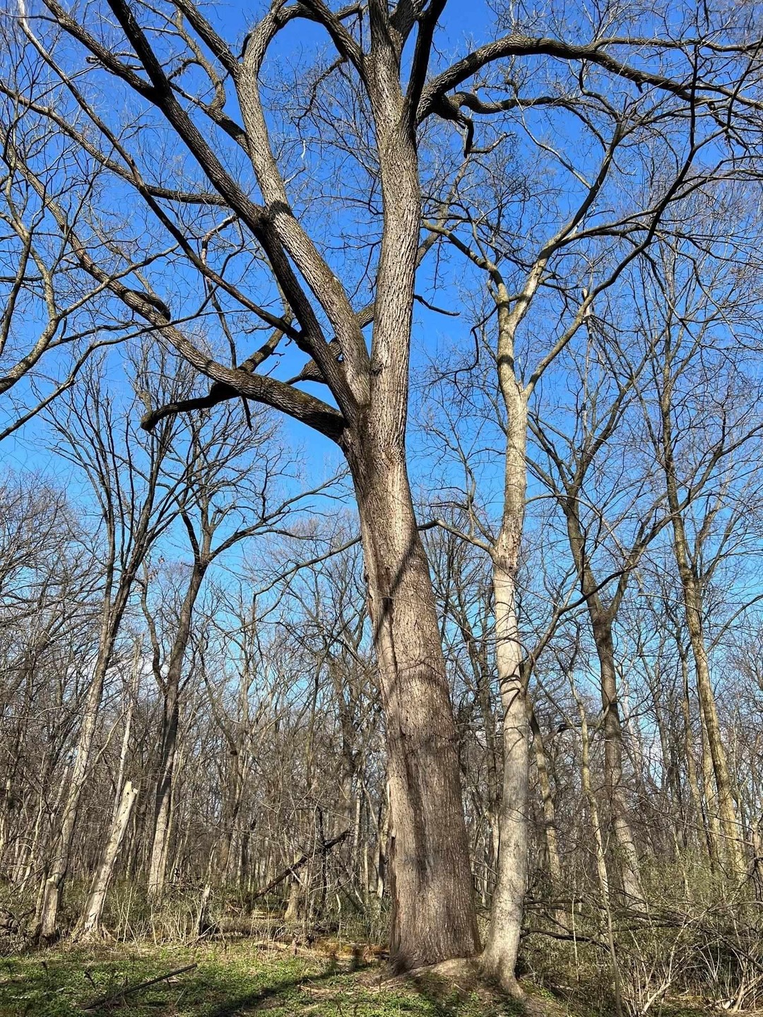 unlisted-address, Brooklyn, WI 53521 - photo 1