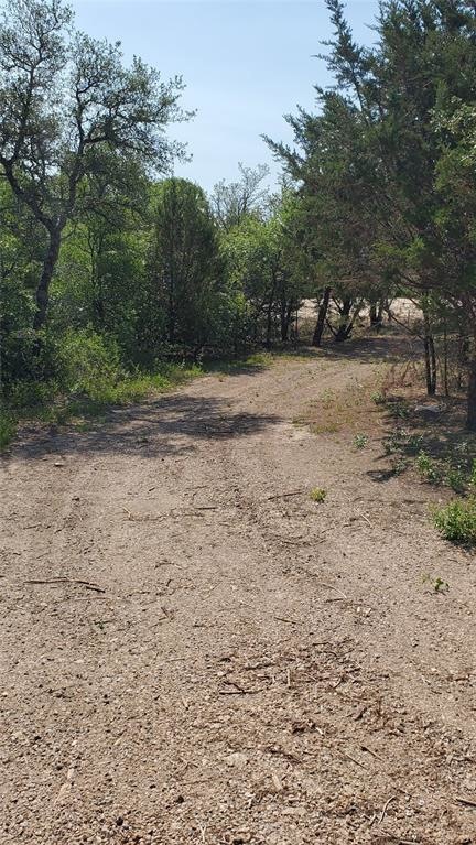 90 W Stege Coach Trail, Weatherford, TX 76085 - photo 1