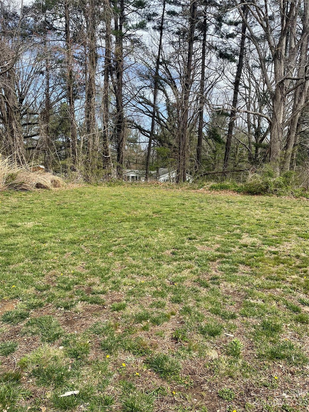 99999 W Chapel Rd, Asheville, NC 28803 - photo 1