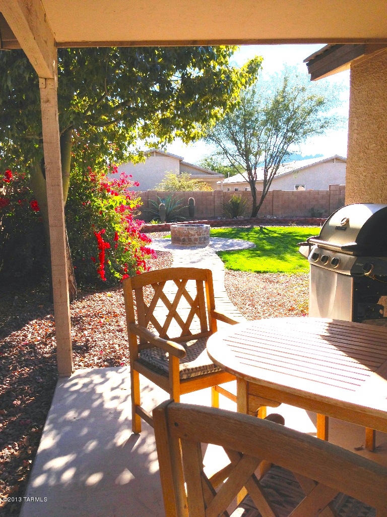 Backyard 1
