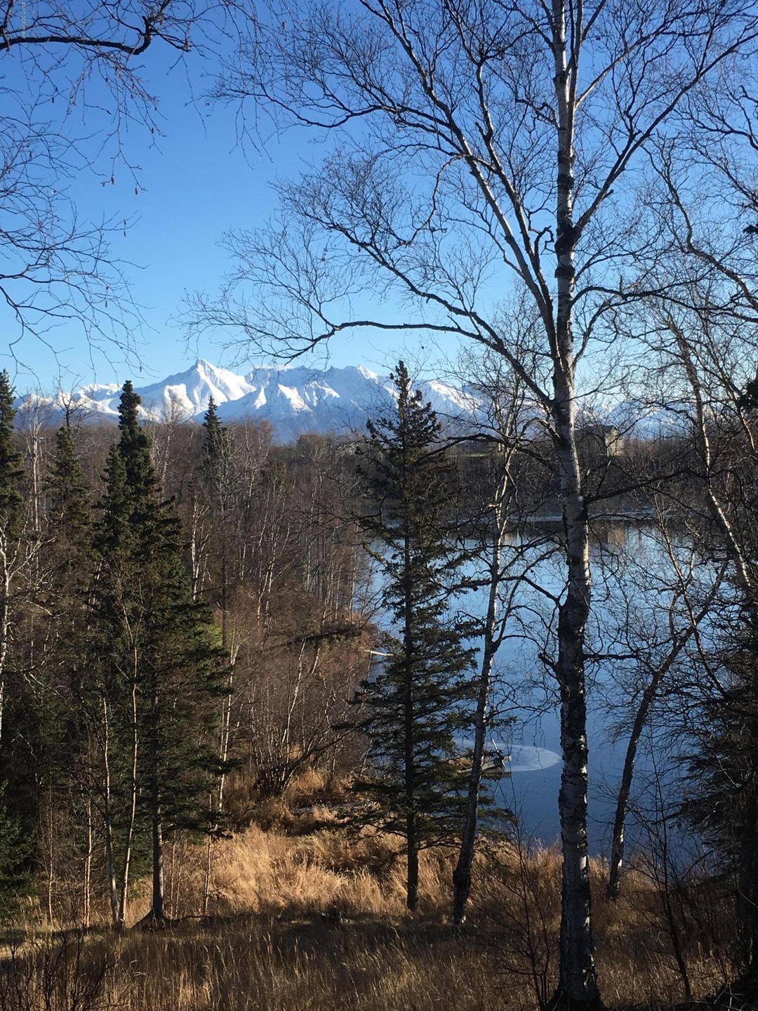 Lazy Mountain Views