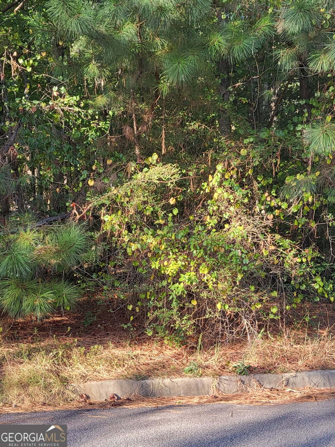 1013 Columbus Dr, Jonesboro, GA 30236 - photo 1