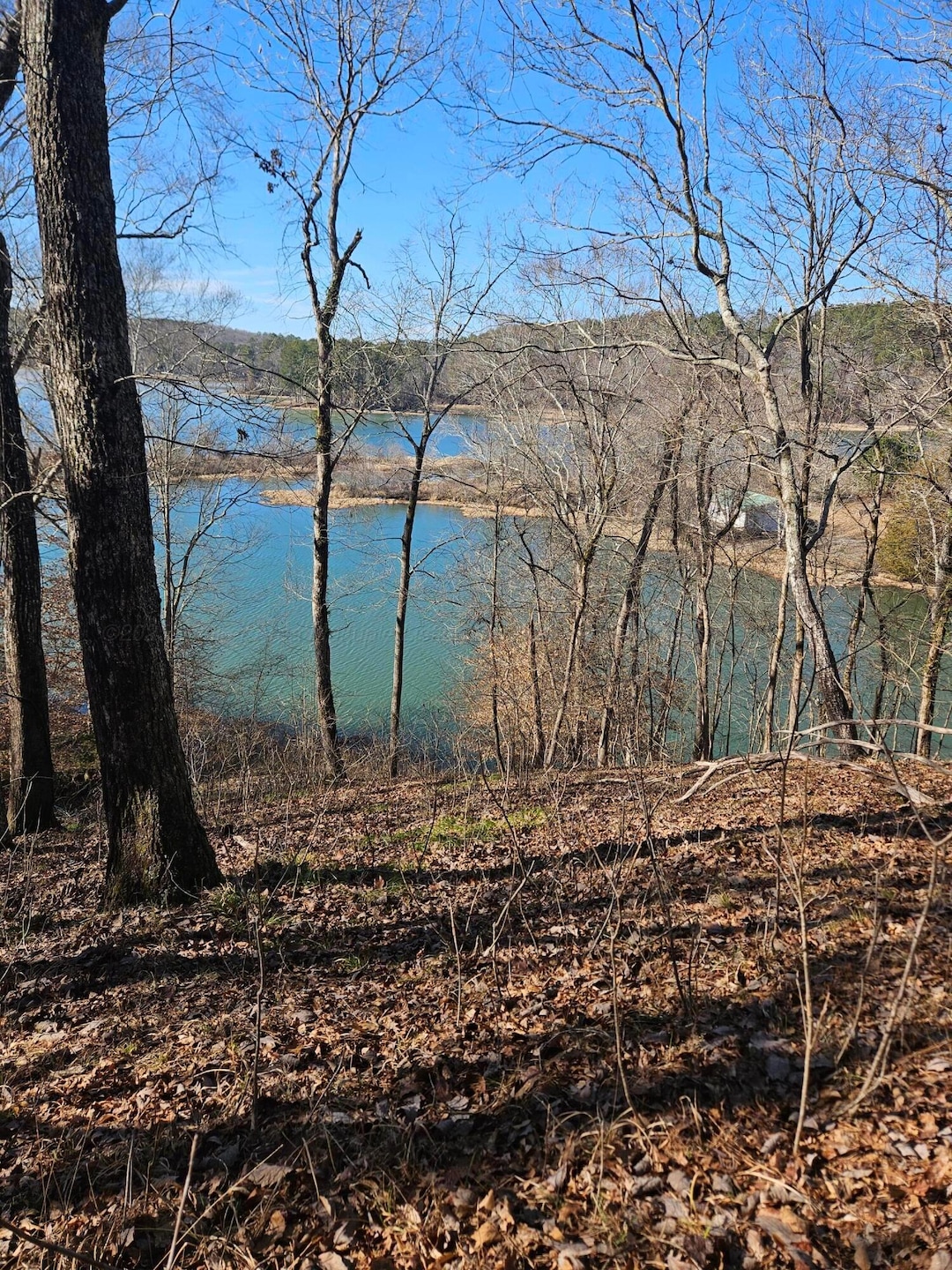 0 Eagle Port Rd, Quinton, AL 35130 - photo 1