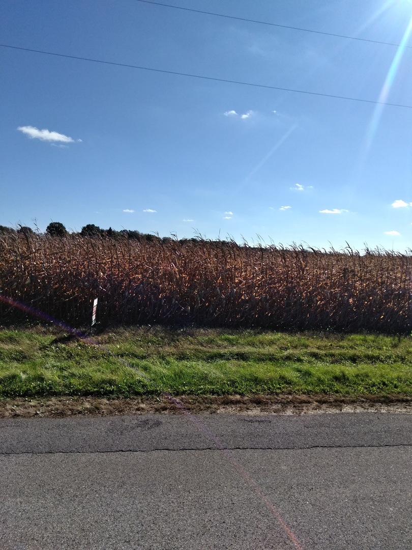 000 County Road 1950 N, Dover Township, IL 61356 - photo 1