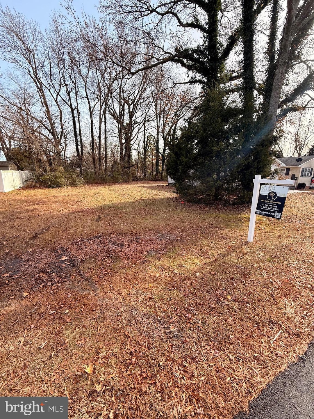 0 E S Rainbow Ave, Cambridge, MD 21613 - photo 1