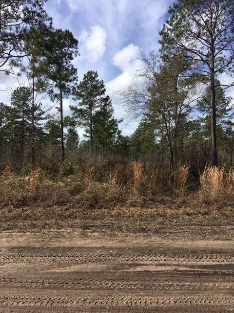 Lots 104 Colonial Coast Cir NE, Townsend, GA 31331 - photo 1