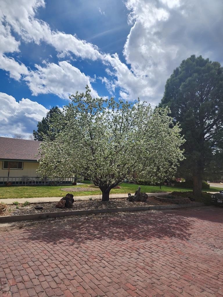 Main View