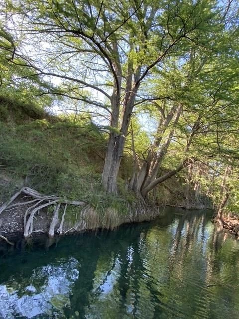 82 Private Road 3800, Utopia, TX 78884 - photo 1