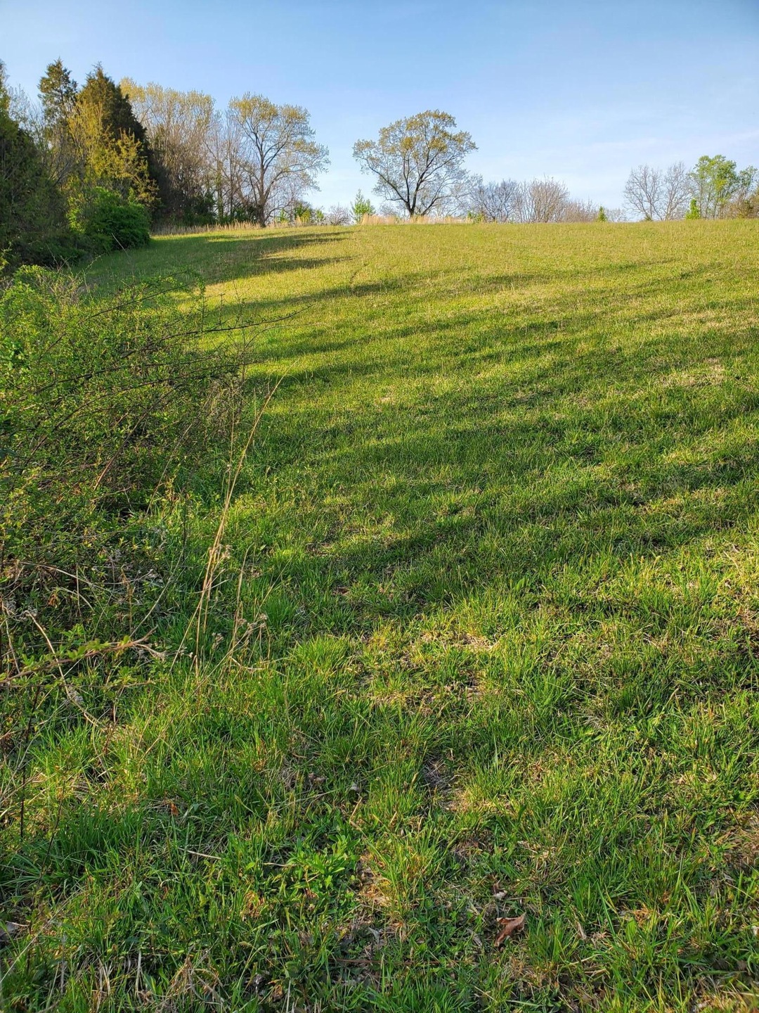 Tbd Kenneth Roach Ln, Rutledge, TN 37861 - photo 1