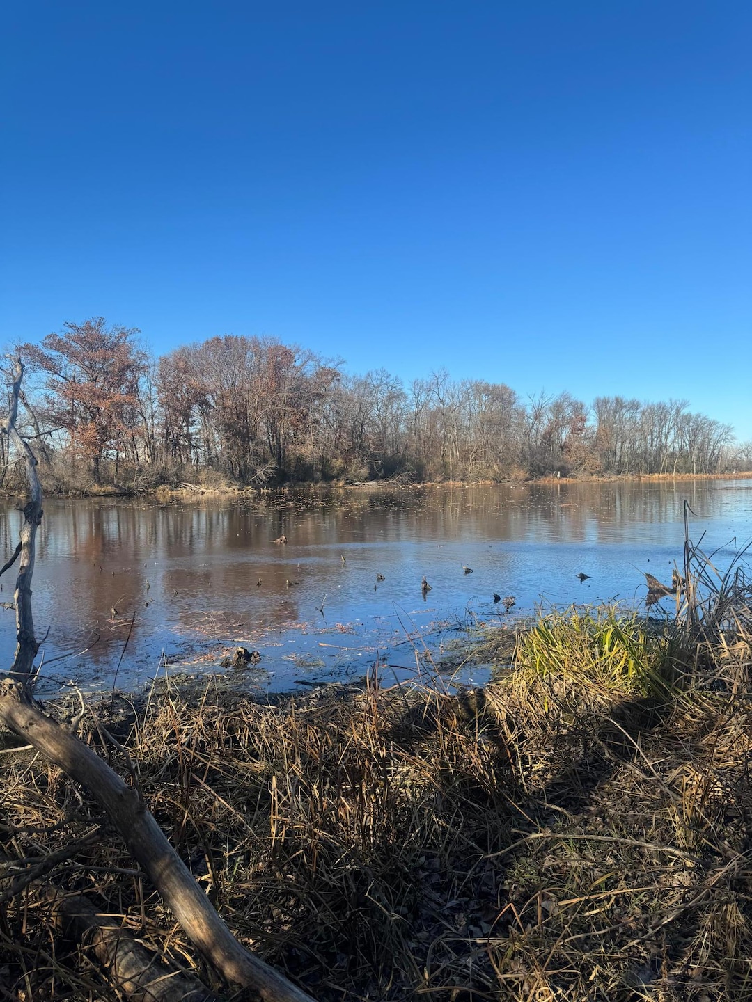 816 30th St NW, Faribault, MN 55021 - photo 1