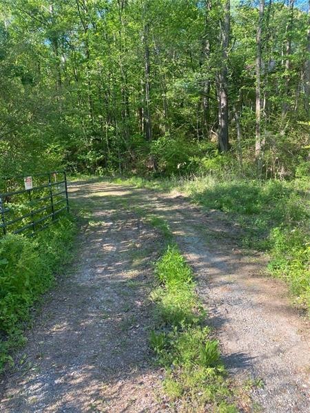 1299 Curtis Rd, Canton, GA 30115 - photo 1