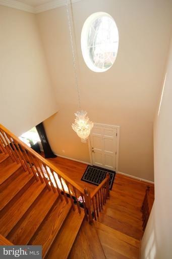 2613 N Jefferson St, Arlington, VA 22207 - photo 1