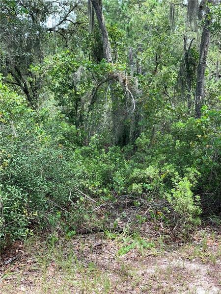 1733 R. E. Byrd Rd. 