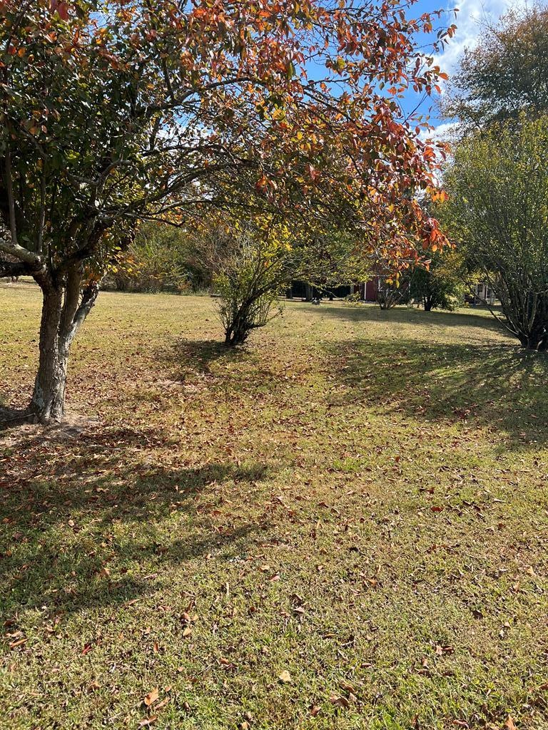 0 Lanier Dr unit 121798, Chatsworth, GA 30705 - photo 1