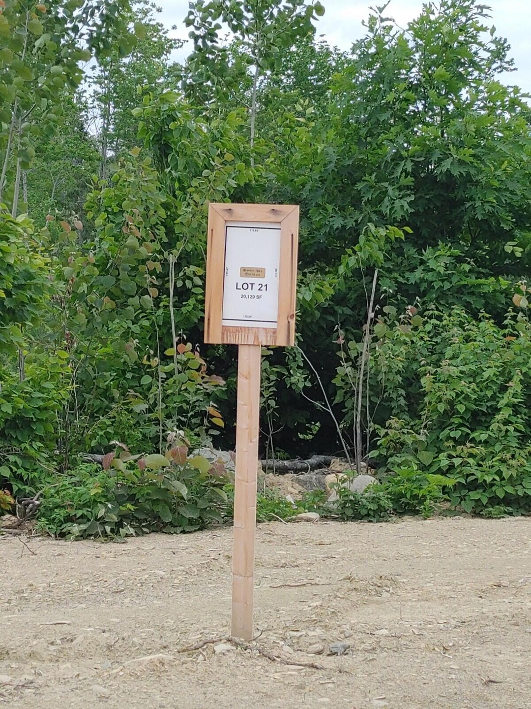 Lot 21