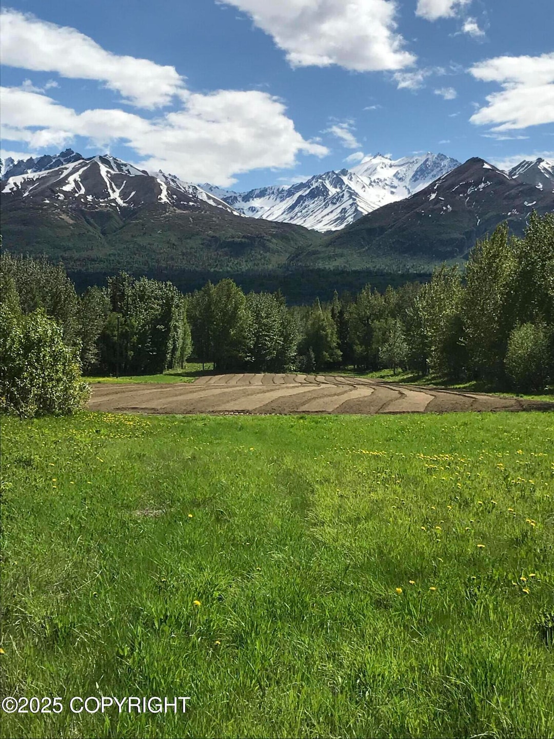 24220 E Bannon Way, Sutton-Alpine, AK 99674 - photo 1