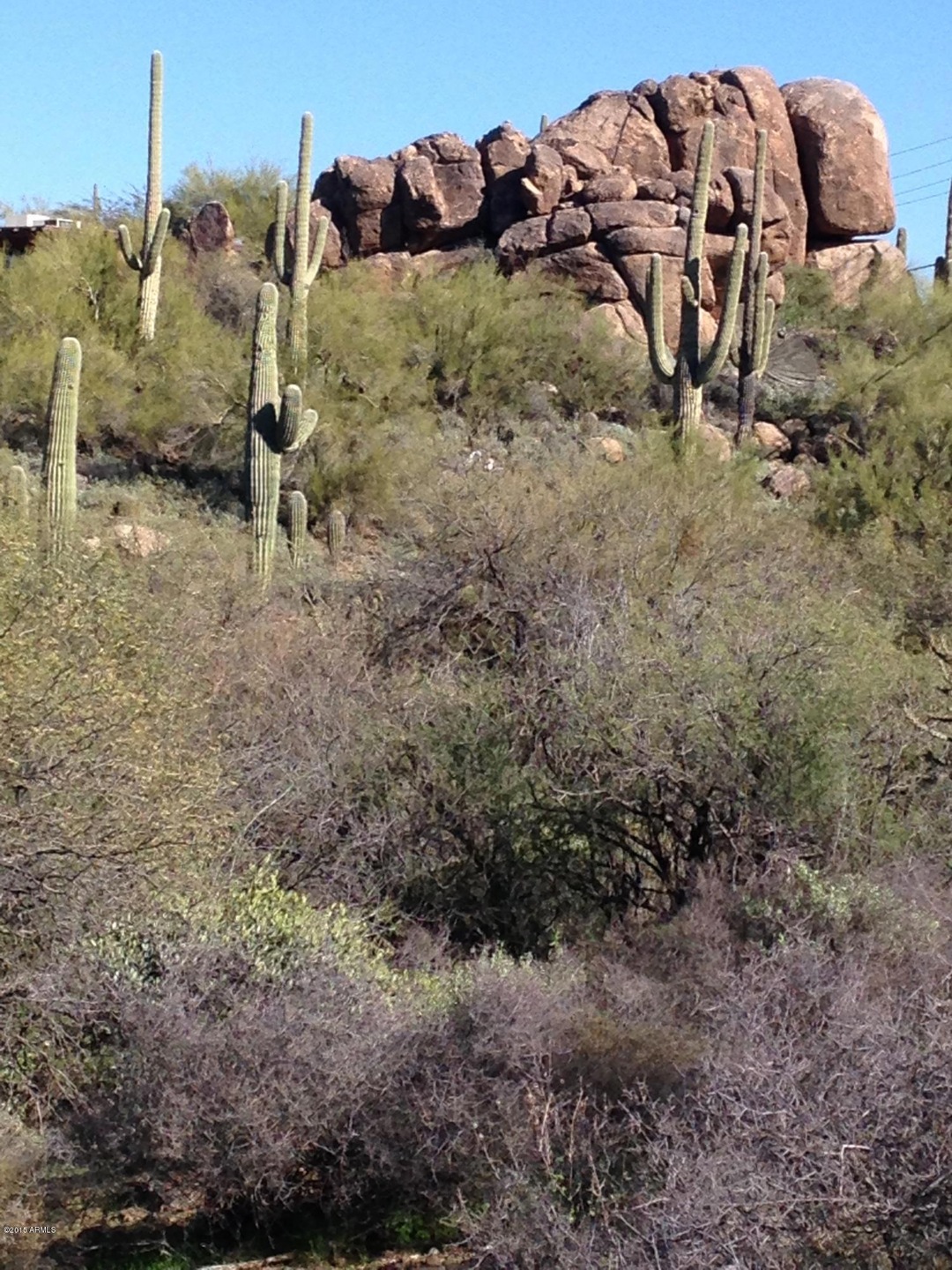 Sold $255,000 • Co-Listing Agent