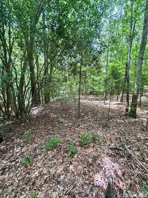 0 Roosevelt Cir unit 1017485, Bowman, GA 30635 - photo 1