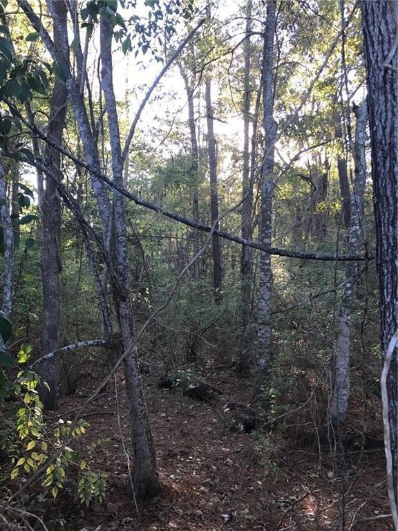 0 Holly Moore Dr, Pineville, LA 71360 - photo 1