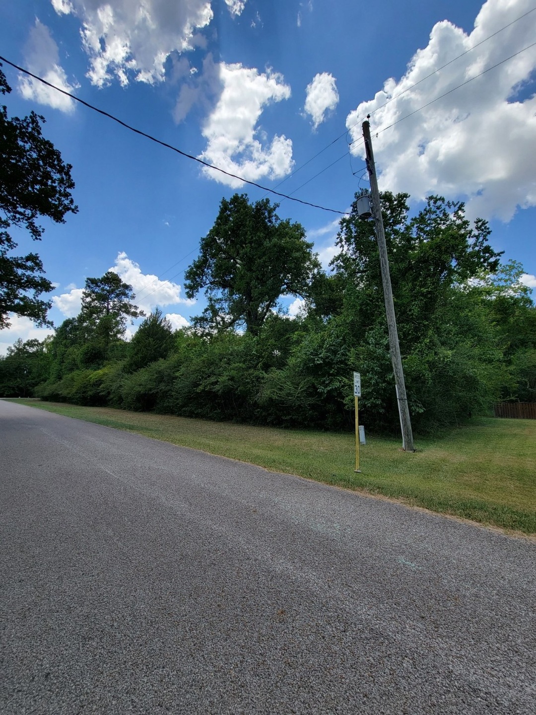 14102 Deer Run St, Decker Place, TX 77355 - photo 1