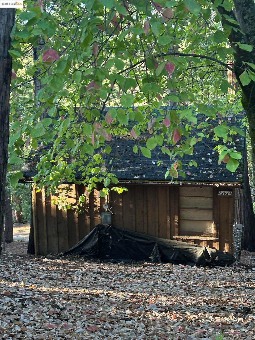 22624 Tamarack Dr, Twain Harte, CA 95383 - photo 1