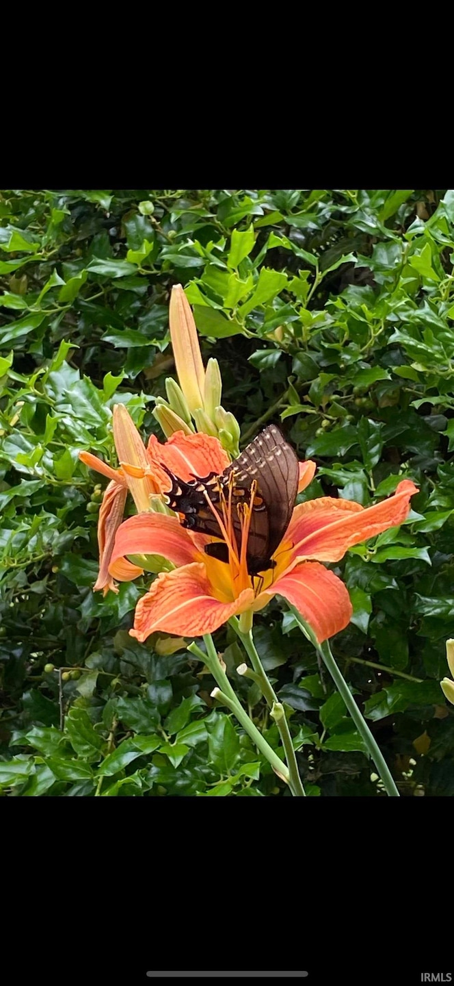 614 N Summit St, Bloomington, IN 47404 - photo 1