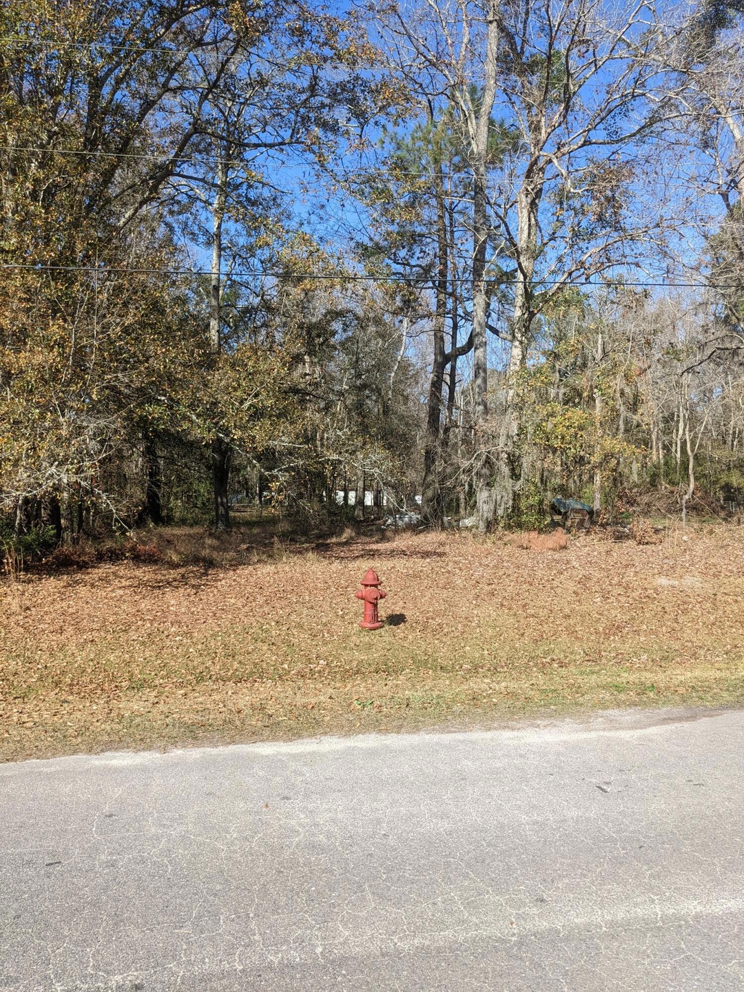 PXL_20211215_170208076