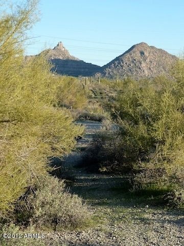 Pinnacle Peak View