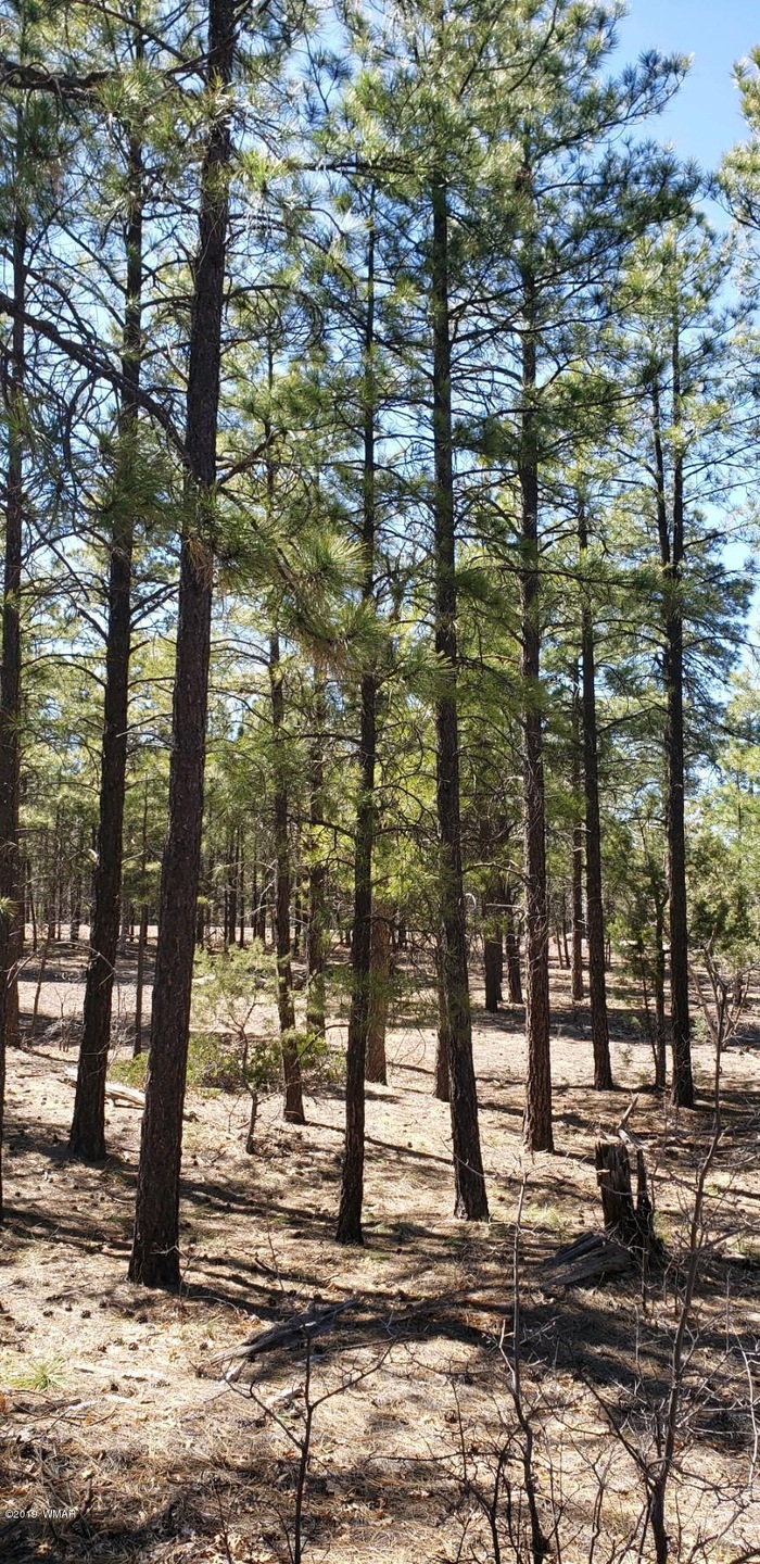 1300 S Jimson Loop